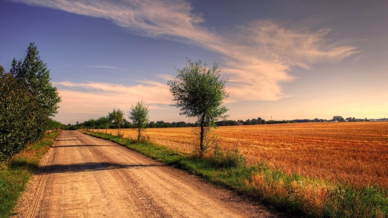 Деревня Лесные цветы Сасовский район