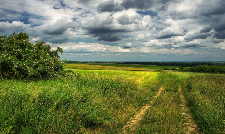 Просторы, поля России деревни