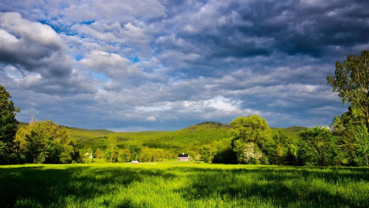 Красивые леса и поля