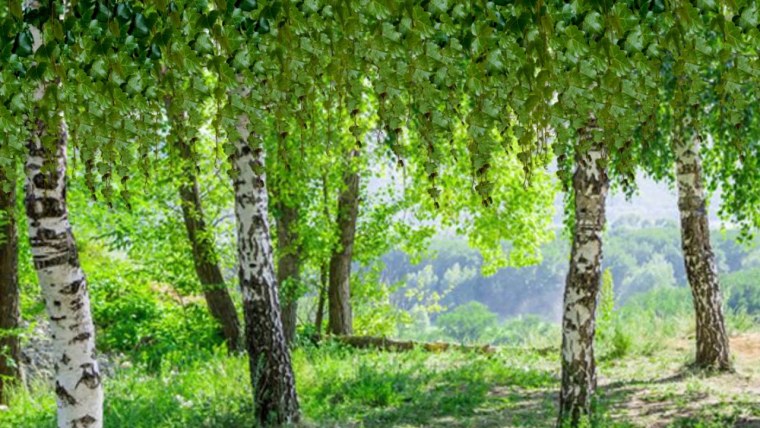 Пейзаж с рекой