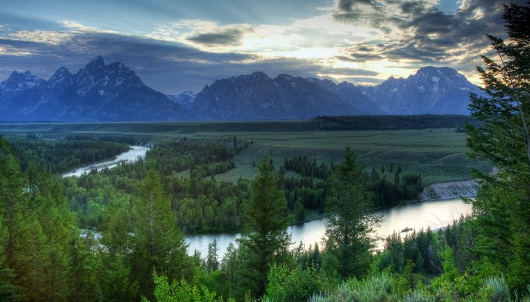 Березовая роща Челябинская область