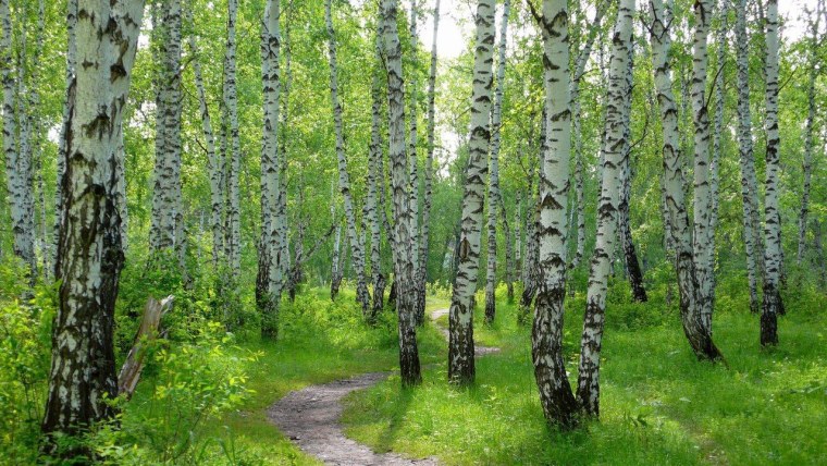 Холмистая равнина Карелии