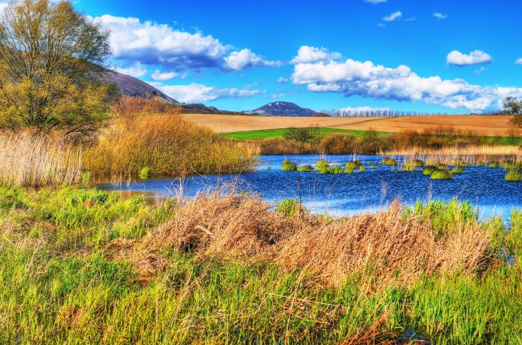 Заповедный луг Рязань