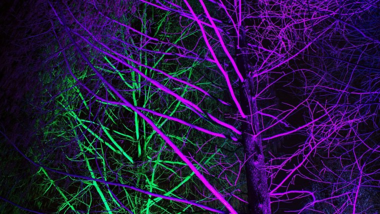 Неоновый фиолетовый