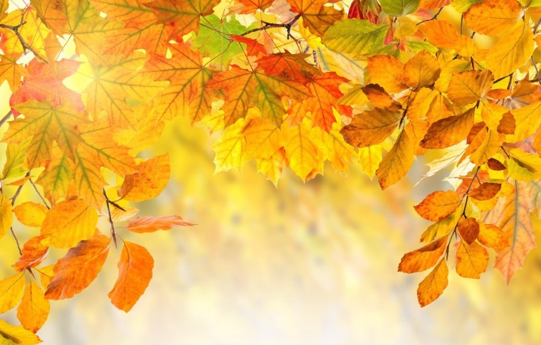 Осенний фон