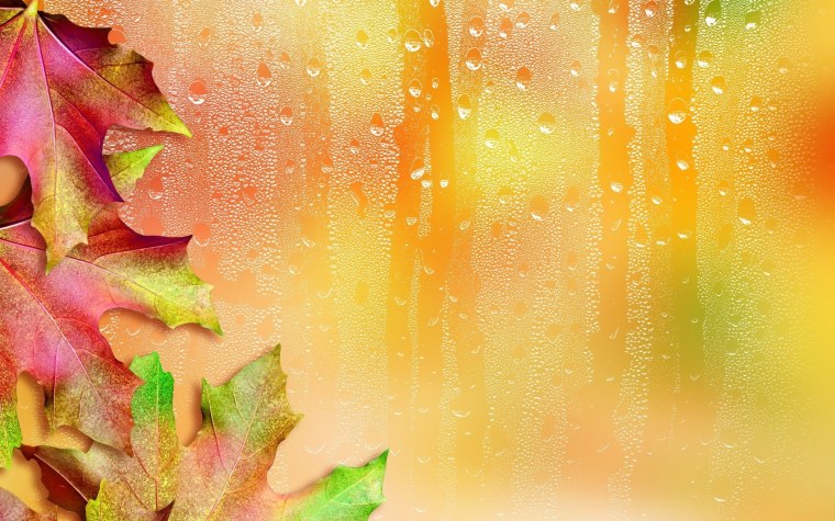 Осенний фон для презентации