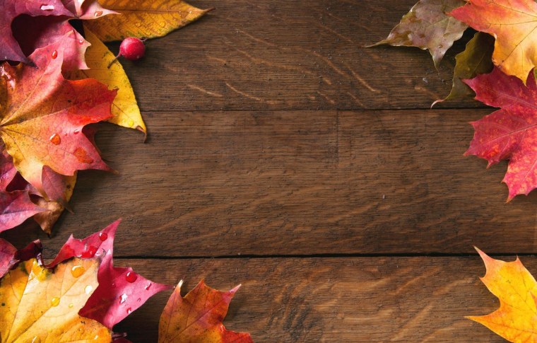 Очень красивый осенний фон