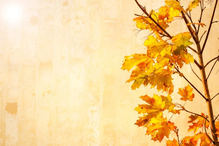 Осенний фон