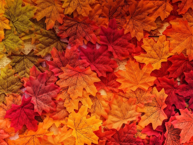 Фон для презентации осень