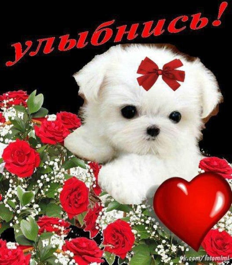 Открытка ты очень красивая