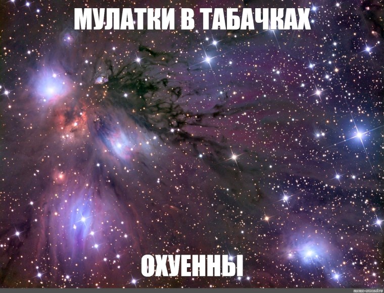 Сашка какашка