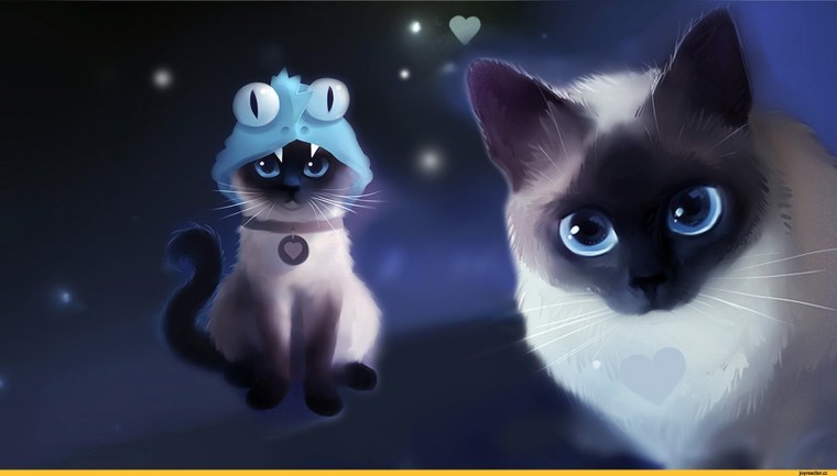 Кошки няшки