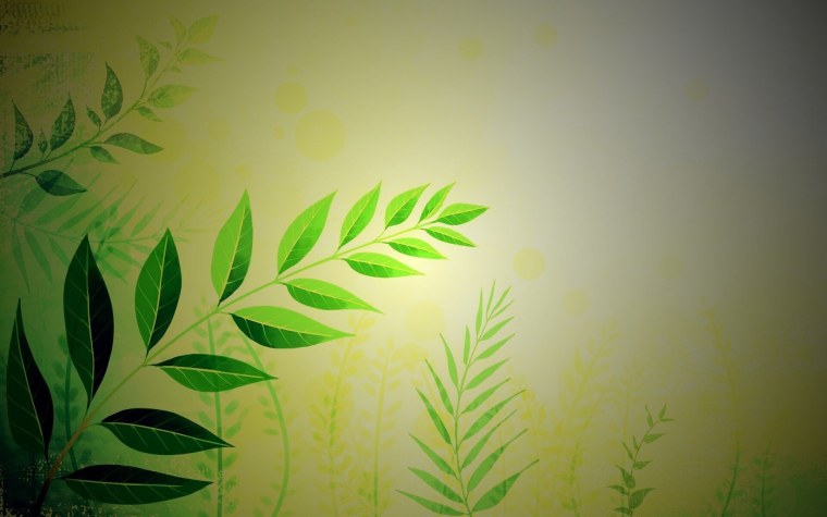 Зеленые листья фон