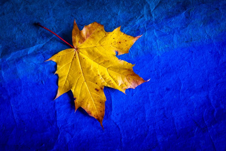 Осень листья