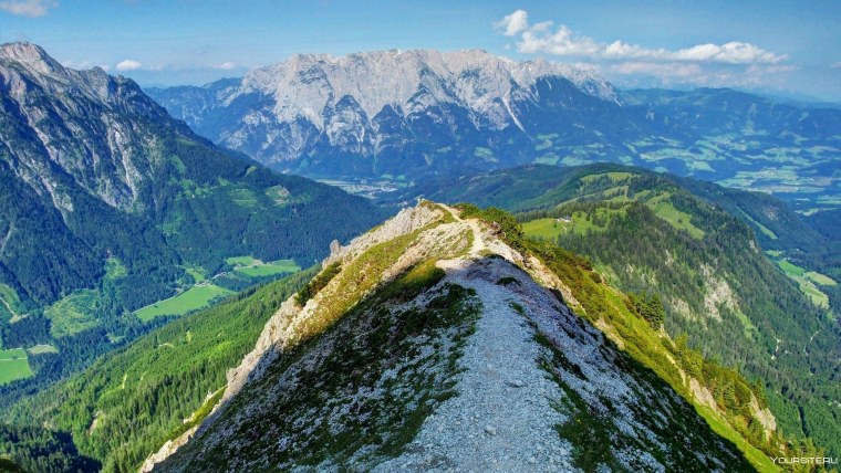 Лавандовая гора Закарпатье