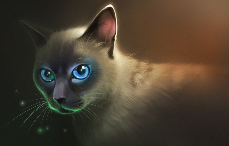 Коты Воители Сиамская кошка