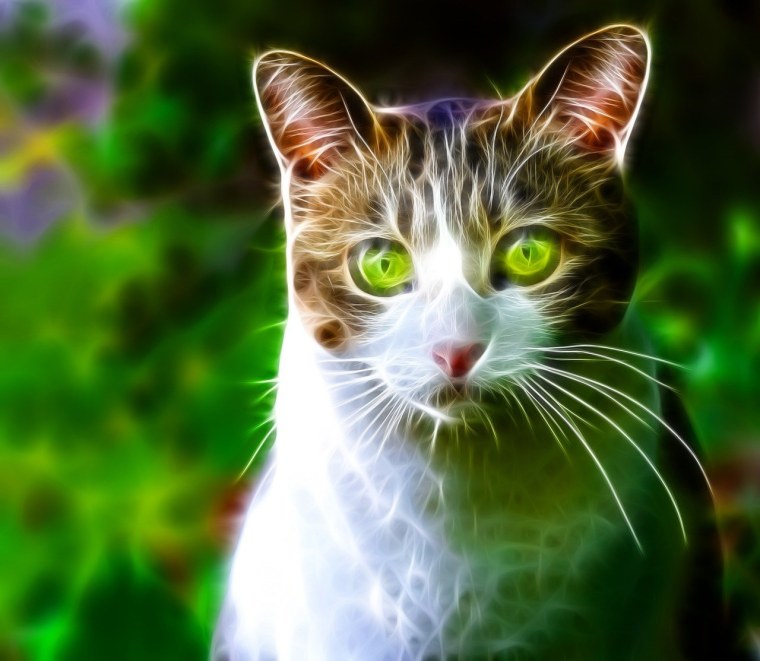 Неоновая кошка