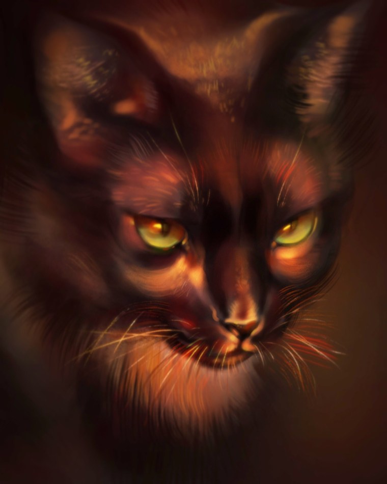 Глаза хищных кошек