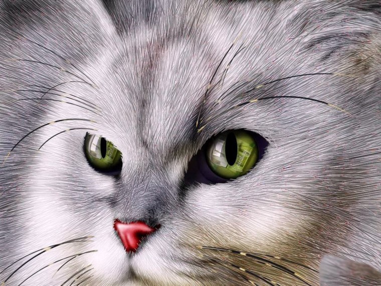 Котяра аватарка