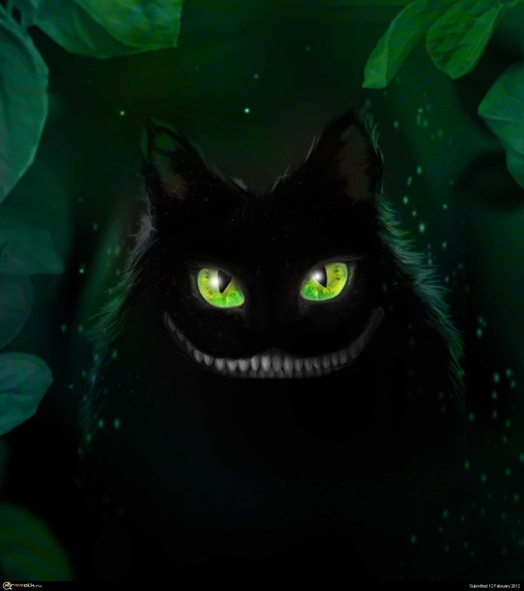 Бомбейская кошка с зелеными глазами