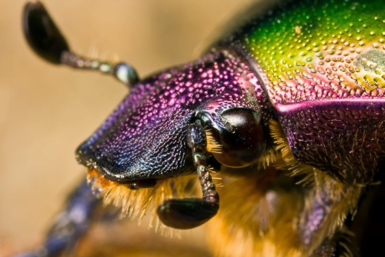 Капля Макросъемка