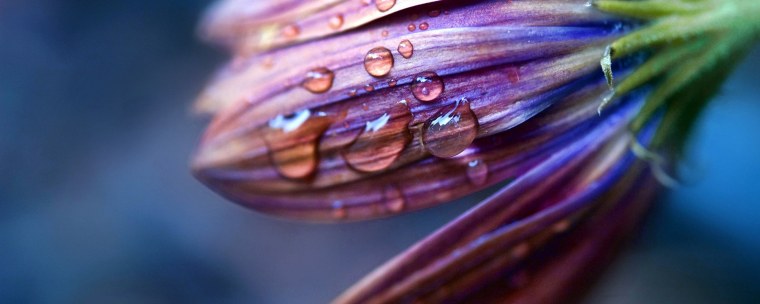Макросъемка капли воды