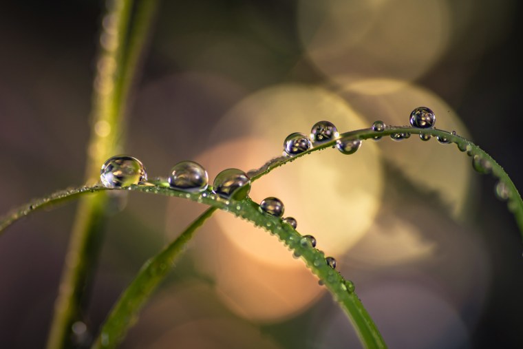 Фото макросъемки высокого разрешения