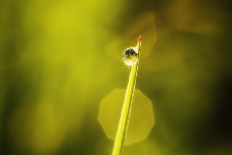 Красивые макрофотографии природы