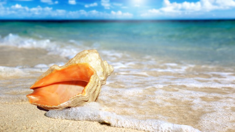 Обои на рабочий стол лето море