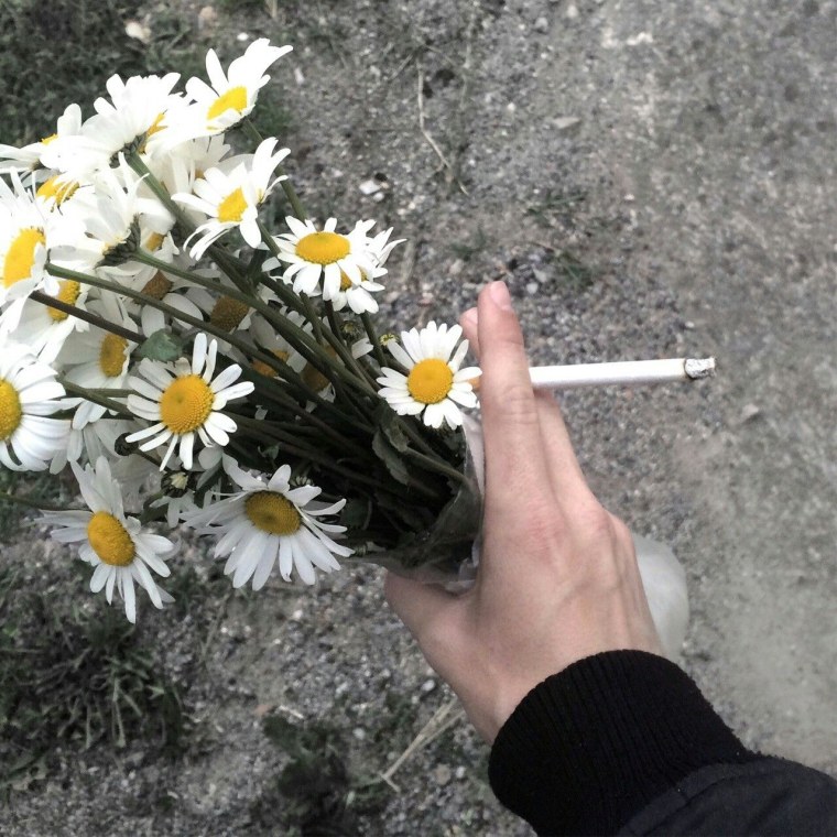 Сохры ромашки