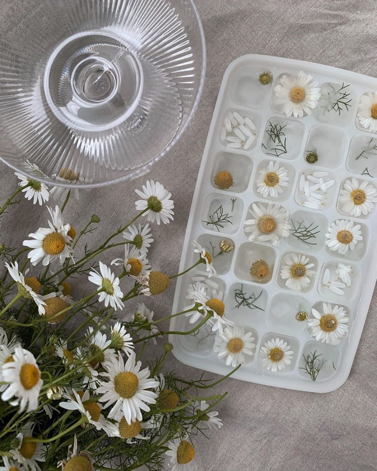 Эстетика ромашек в воде