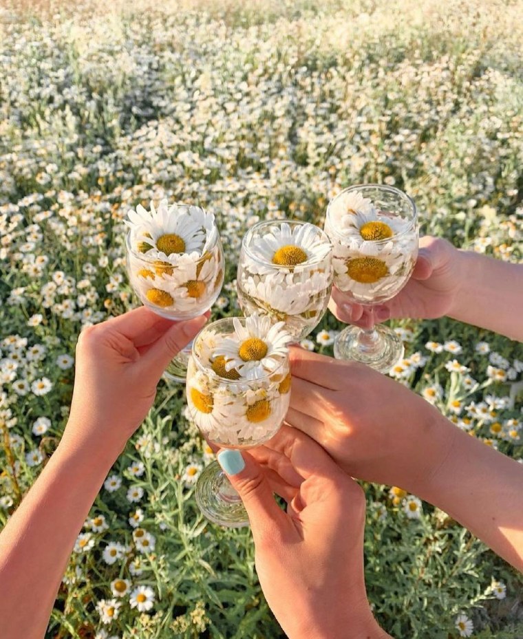 Эстетика ромашки в руках