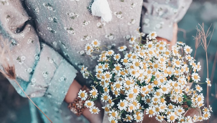 Букет ромашек Эстетика