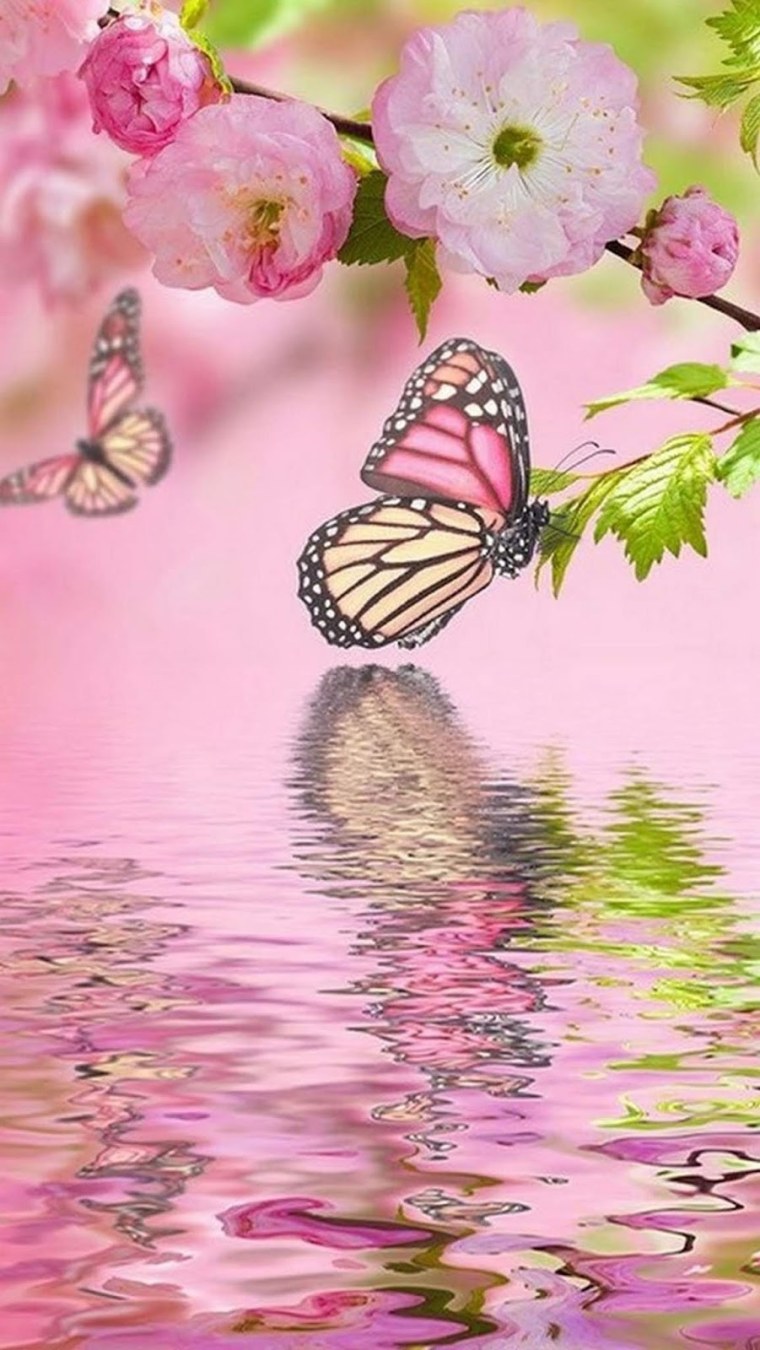 Следуй за мной