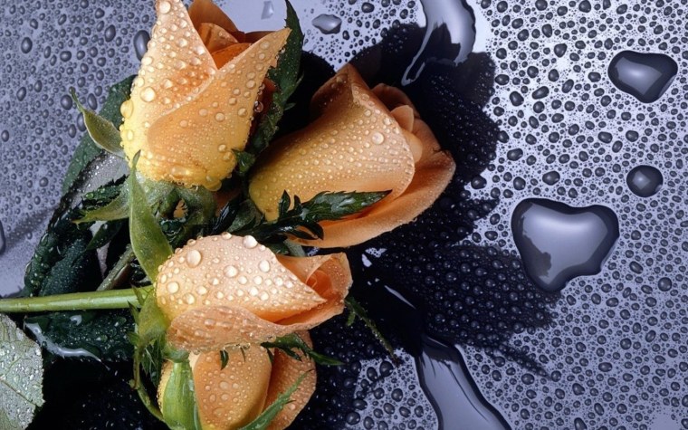 Красивые обои на рабочий стол