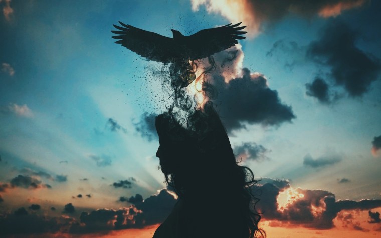 Птицы из души