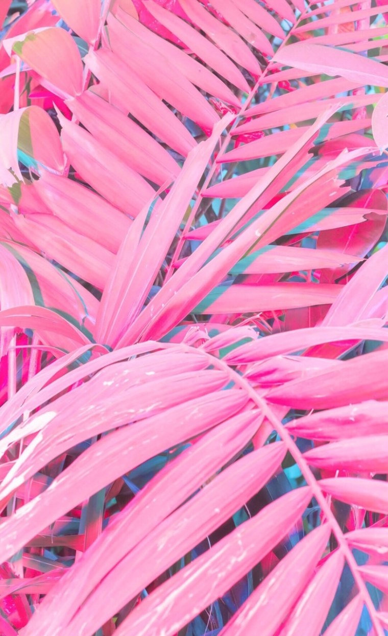 Розовые листья пальмы
