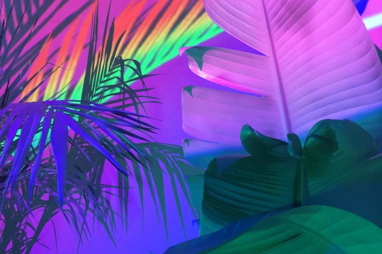 Яркие цвета Эстетика