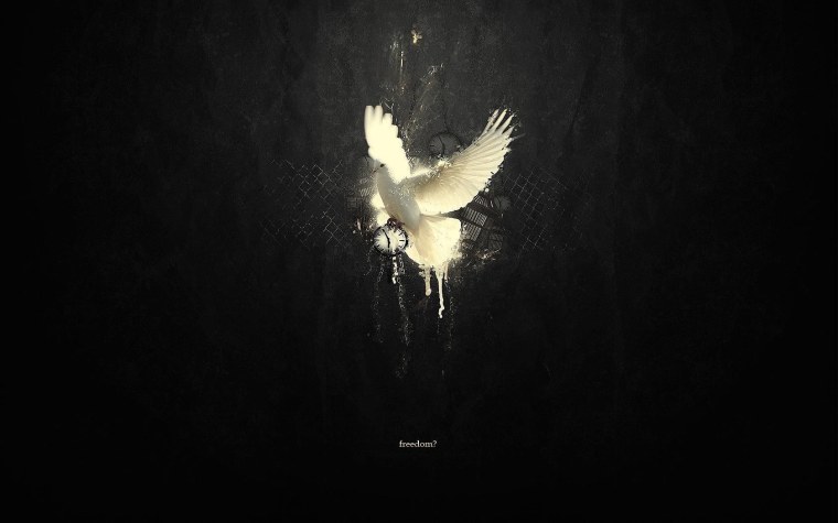 Белая птица на черном фонн