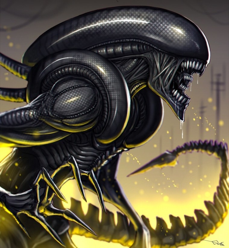 Alien Xenomorph 3d