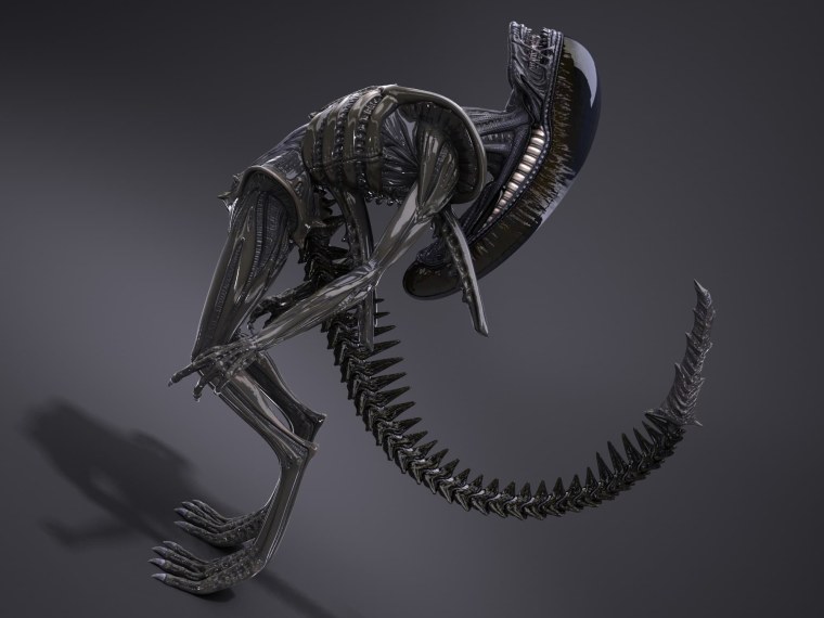 Alien Xenomorph 3d model
