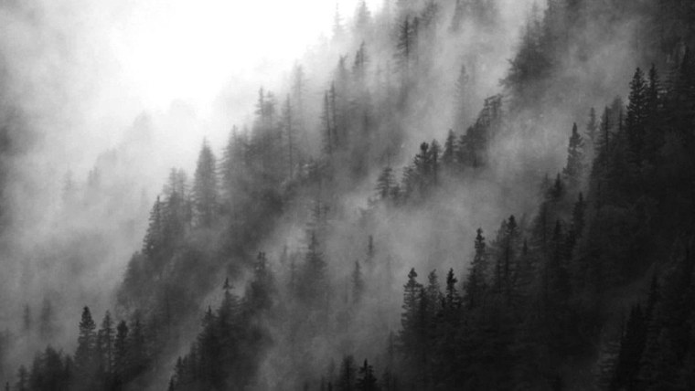 Atmospheric Black Metal лес