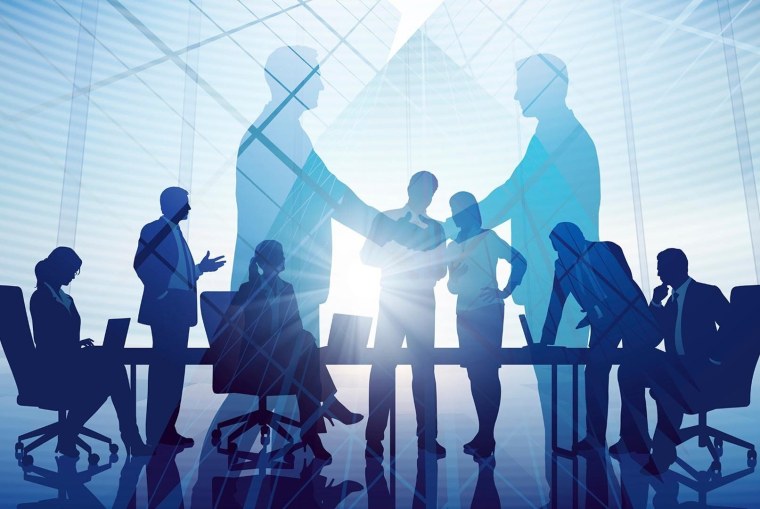 Профессиональная команда