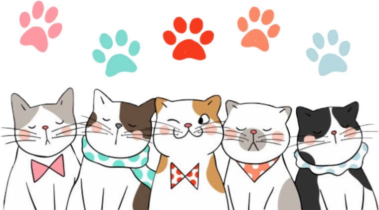 Баннер с котиками