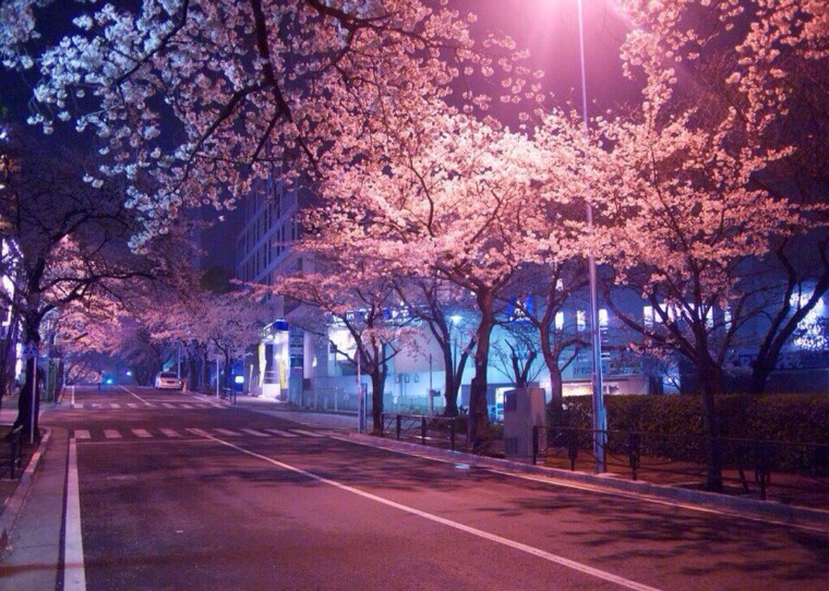 Японская улица вечером