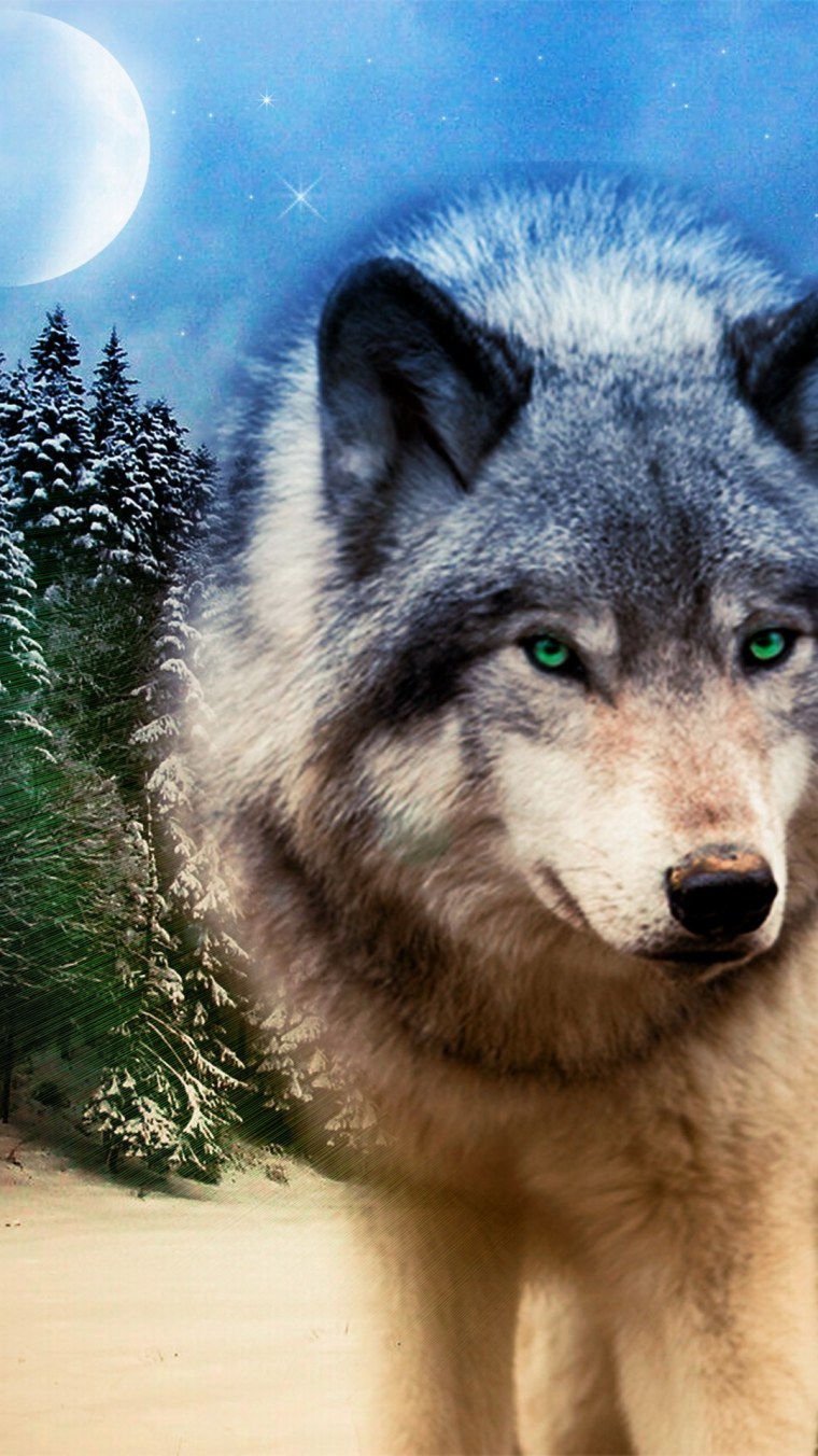 Волки обои на айфон