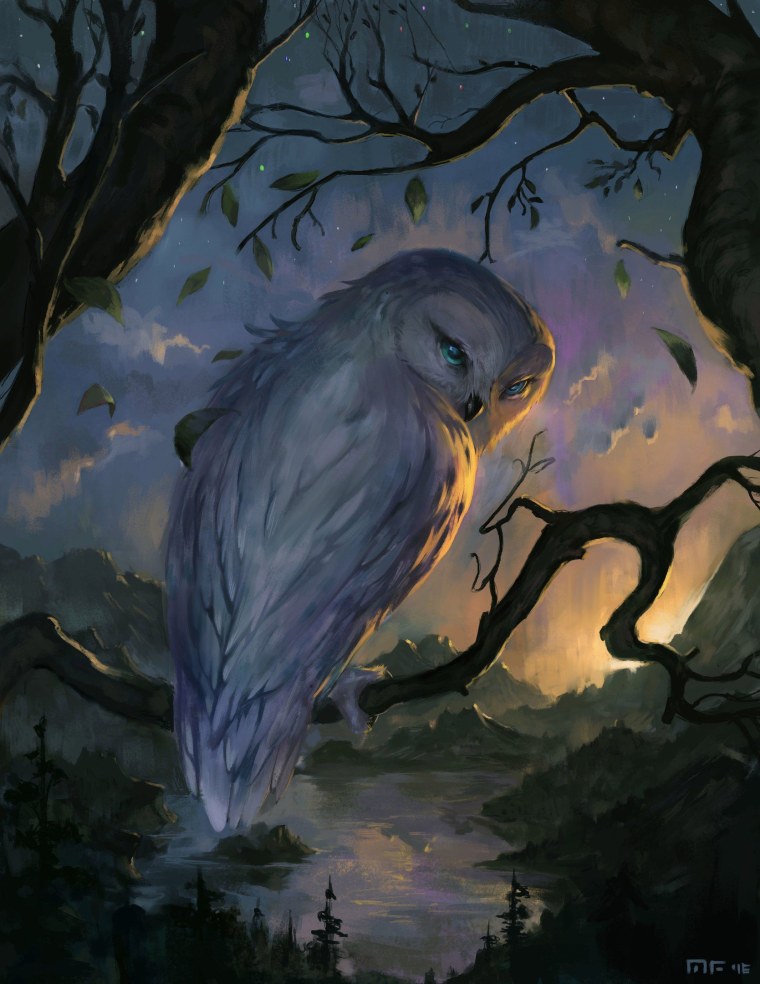 Сова в полете