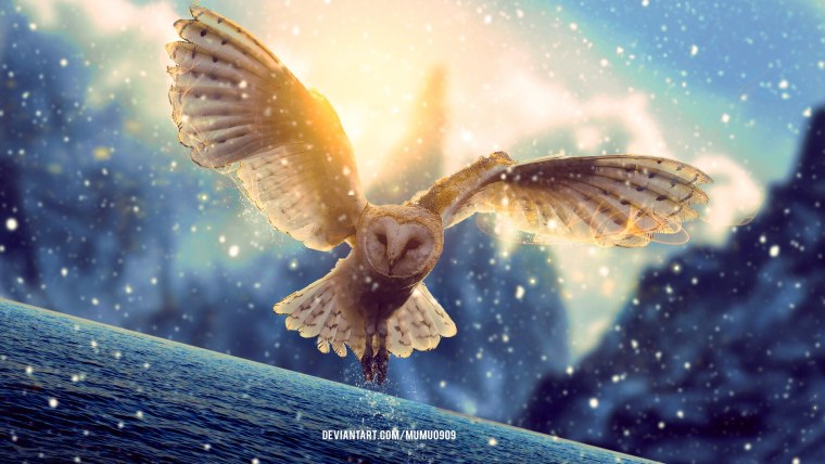 Сова сипуха фэнтези