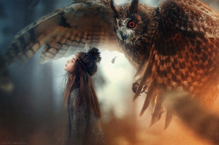 Кэрол Каваларис Сова Совы