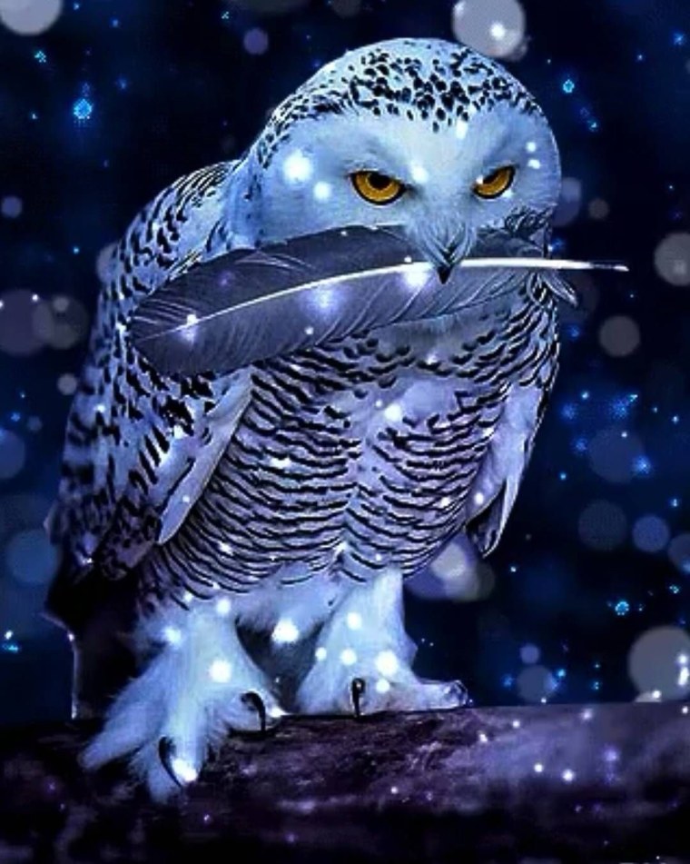 Сова в полете живопись